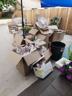 Free! Moving boxes and paper
