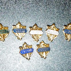 1980's Vintage School Achievement Pins Set