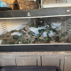 Reptile Tank