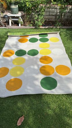 Area rug 4x 6 1/2