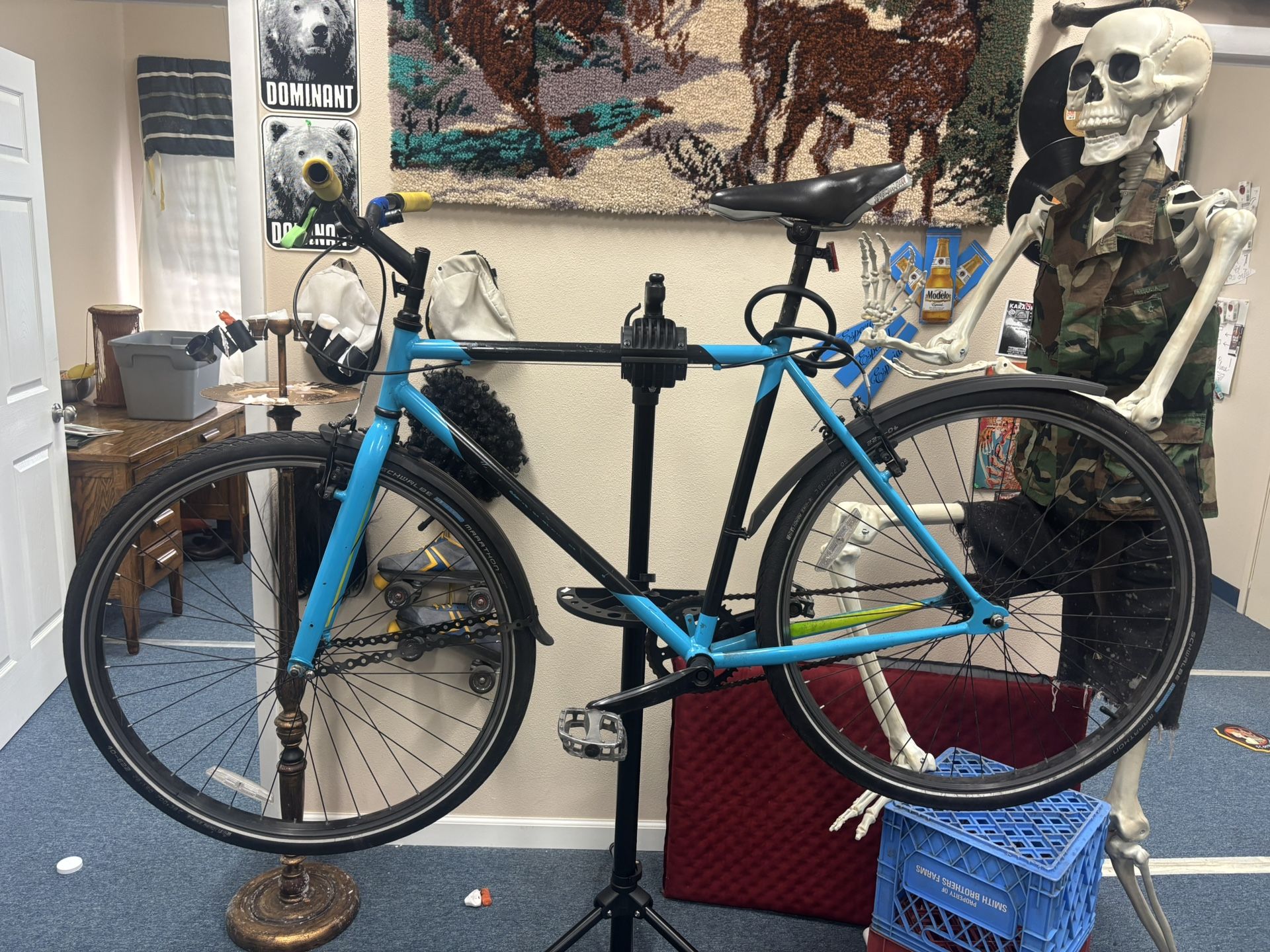 Single Speed Bicycle 