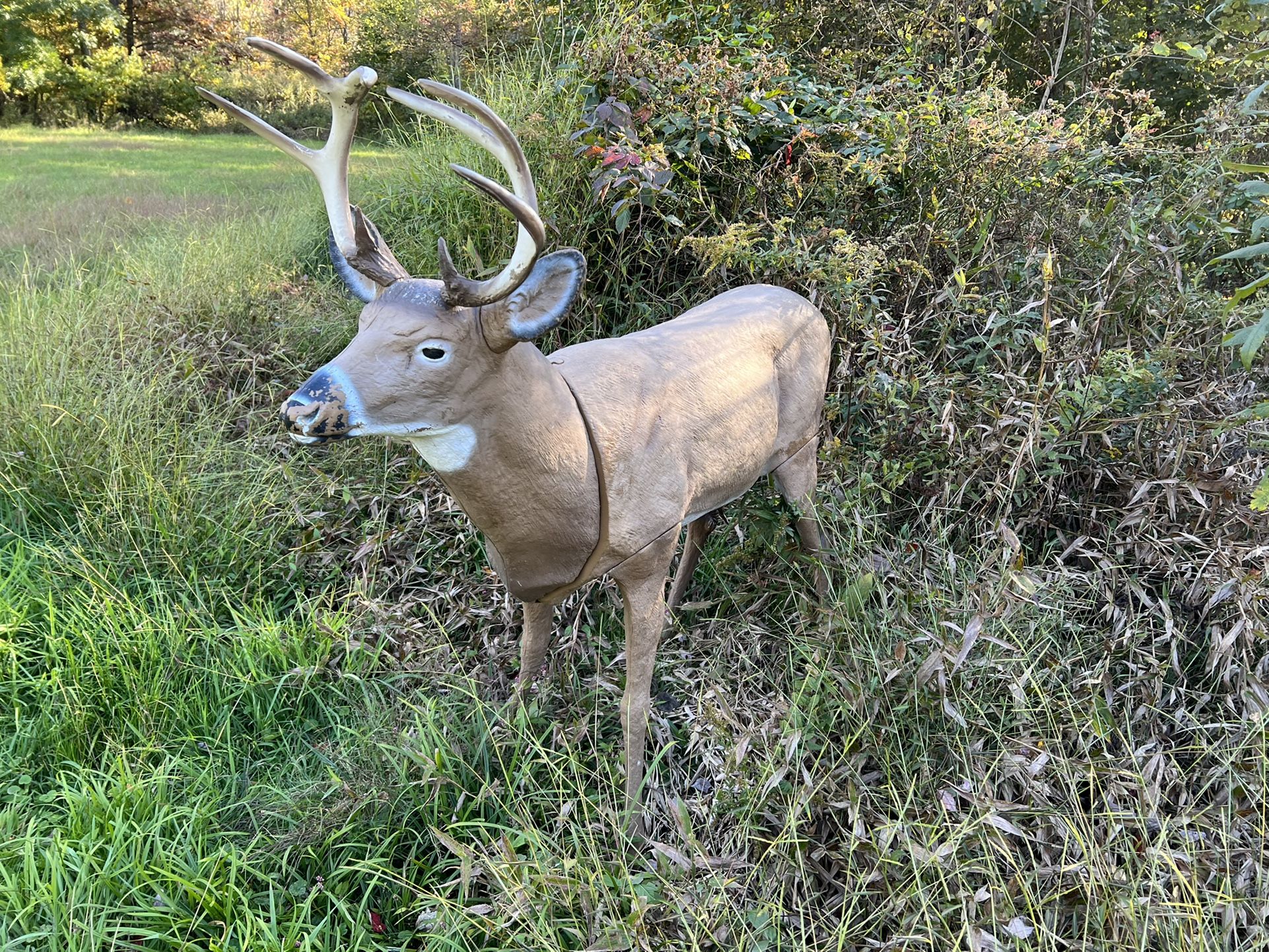 Two Deer Statues  