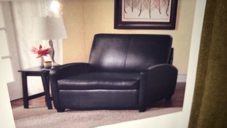 Sleeper love Seat