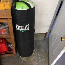 punching bag 