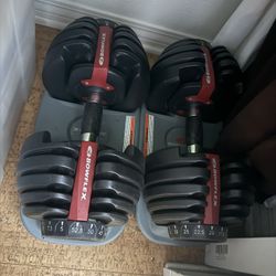Bowflex Dumbbells 