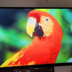 Asus VG249Q3A 24in 180hz 1080p 
