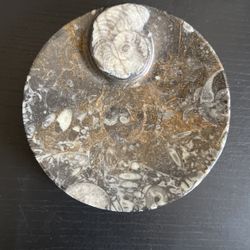 Ammonite Fossil Ashtray $35 (Crystals)