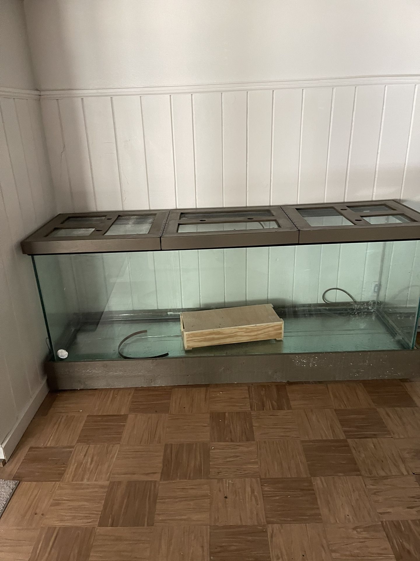 Reptile Tank