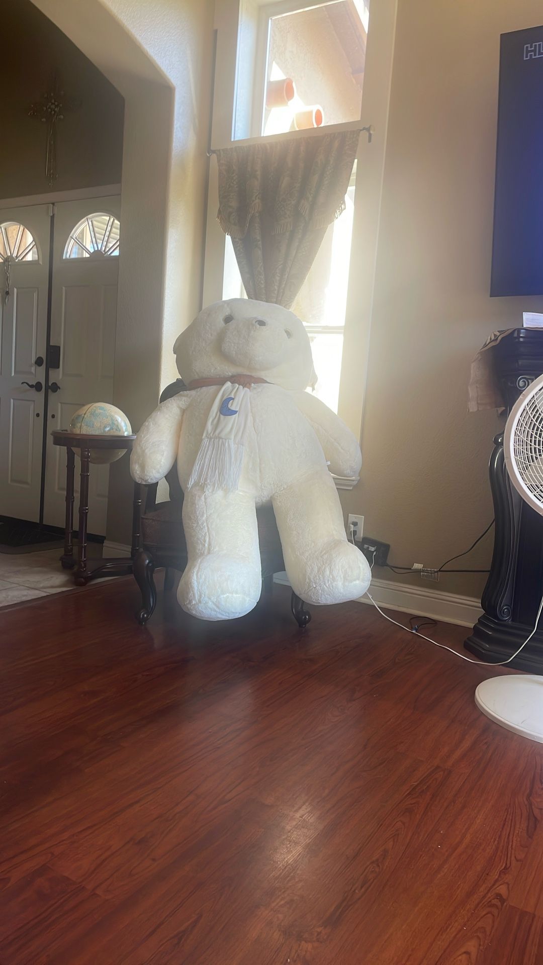 Big Teddy Bear