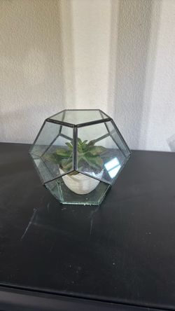 Dome fake plant decor -