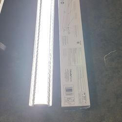 Luz