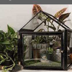Mini Glass House 🏡 W Plants And Succulents Included Have This Decor Made Today🌱🌱