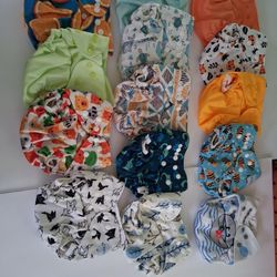 Cloth Diapers And Inserts