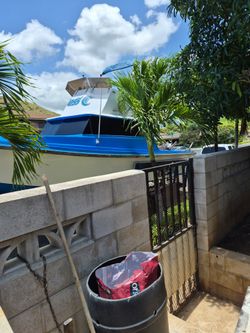 29ft banana patch
