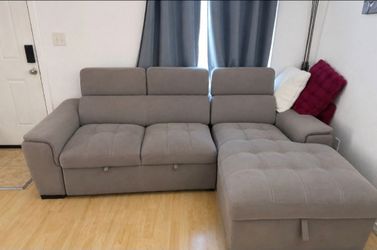 Sofa bed and Storage $250
