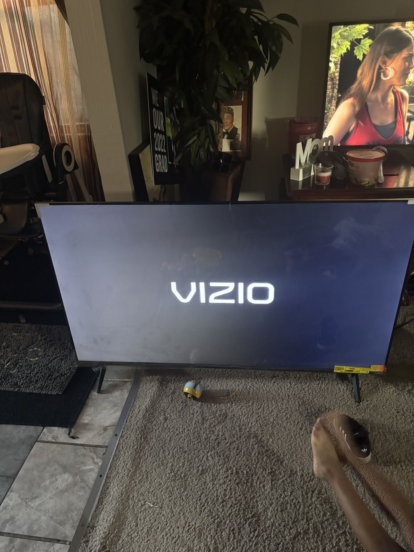 65 Inch Vizio