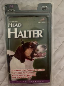 Head Halter new