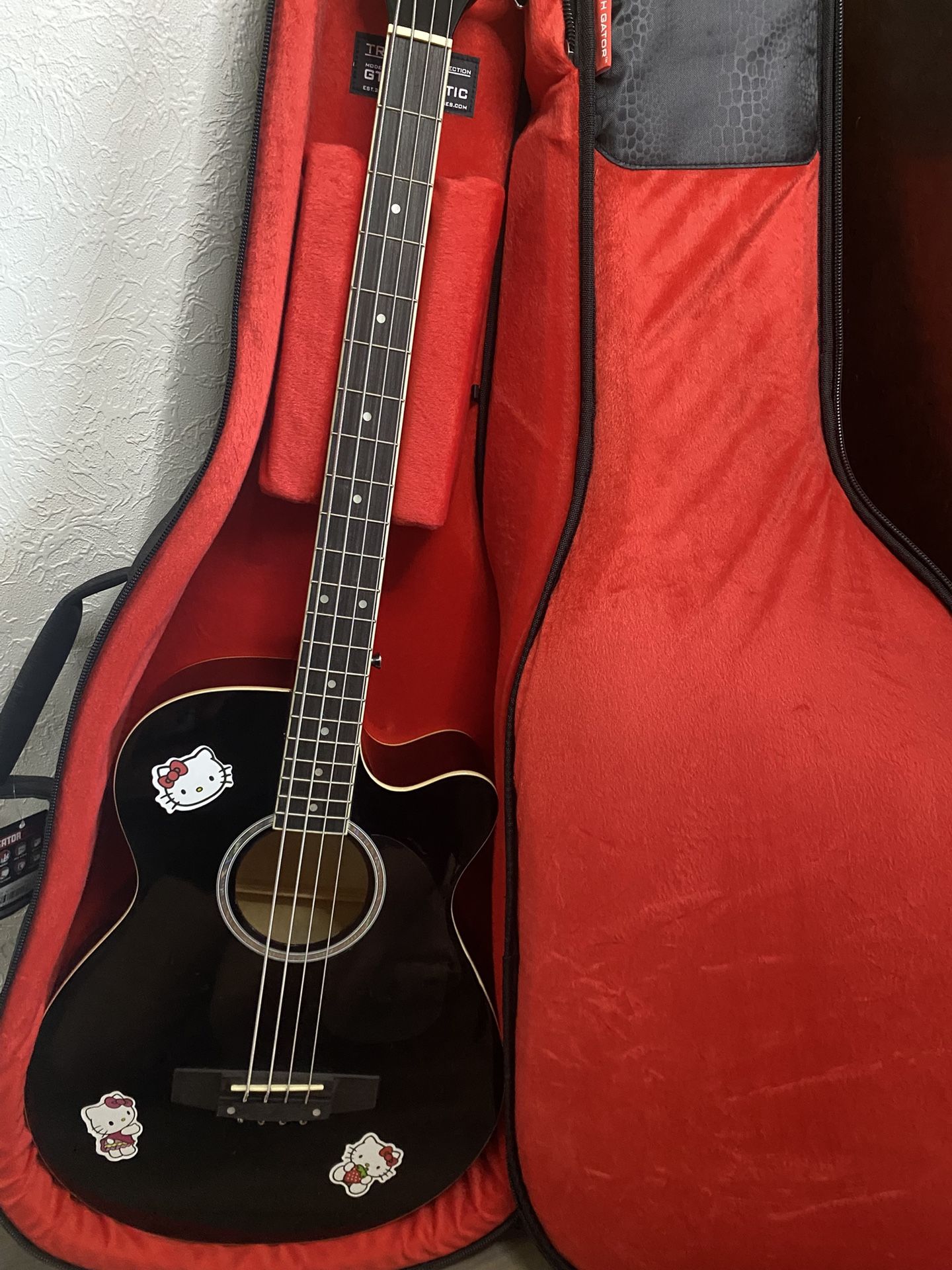 acustic bass (case included)