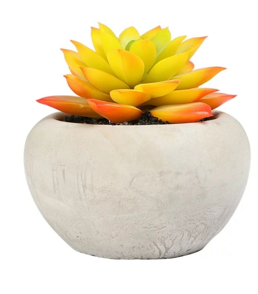 Mainstays Artificial Succulent