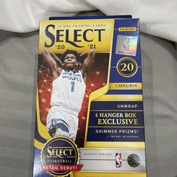 Panani Select 20-21 Basketball Cards 
