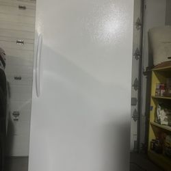 20 Cubes Frigidaire Frost Free  Freezer 