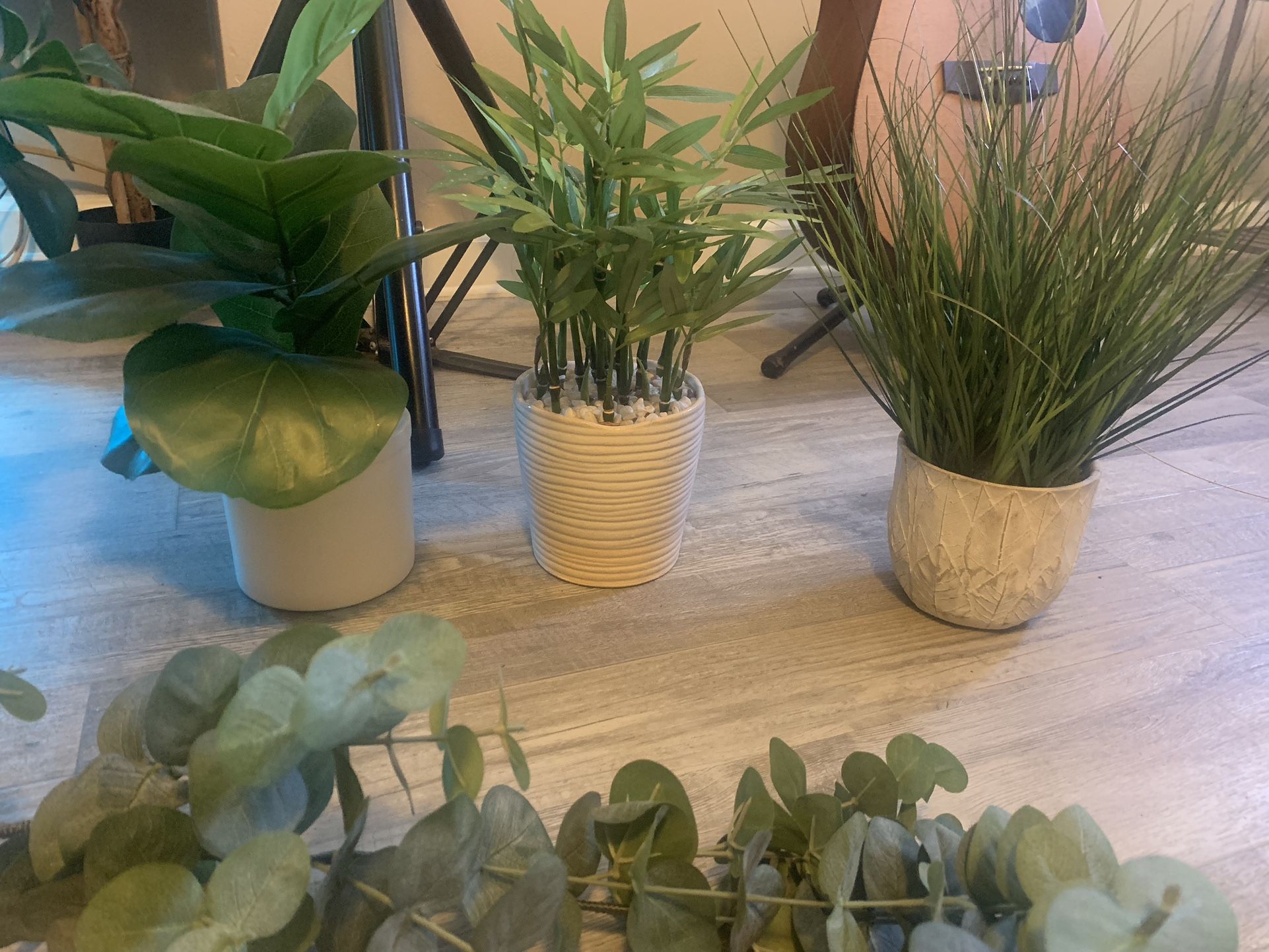 Fake Plants $5 Each