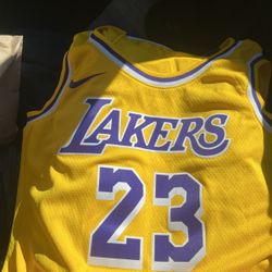 Lebron James Jersey NBA 