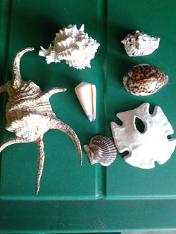 Decorations