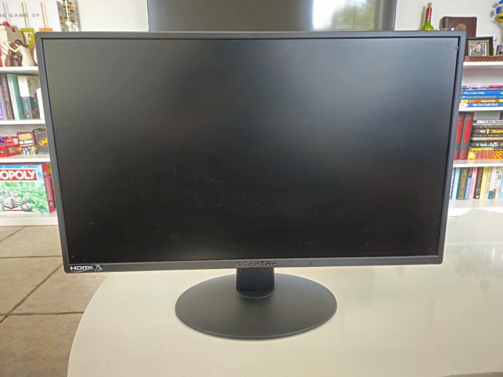Sceptre 24 Inch Gaming Monitor