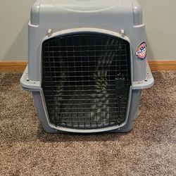 Large Dog Kennel 