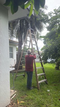 10ft painters ladder