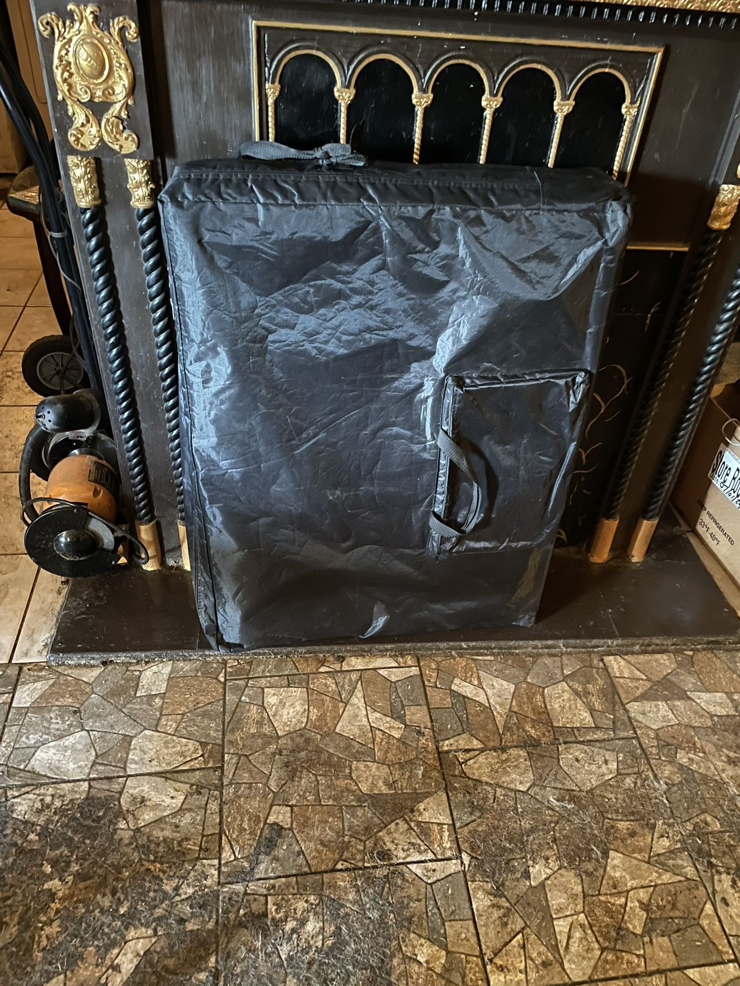 Massage Table With carrying case