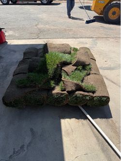 18 rolls grass