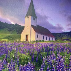 Canvas Art - Vikurkirja Church