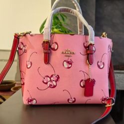 Coach Mollie Tote Bag 25 With Cherry Print 