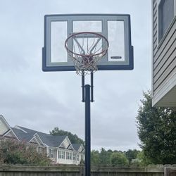 Lifetime Basketball Hoop 