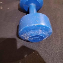 Single Plastic 10lb Dumbbell 