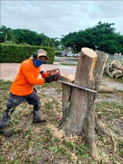 Tree remover - Sale!