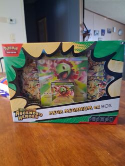 Mega meganium ex box