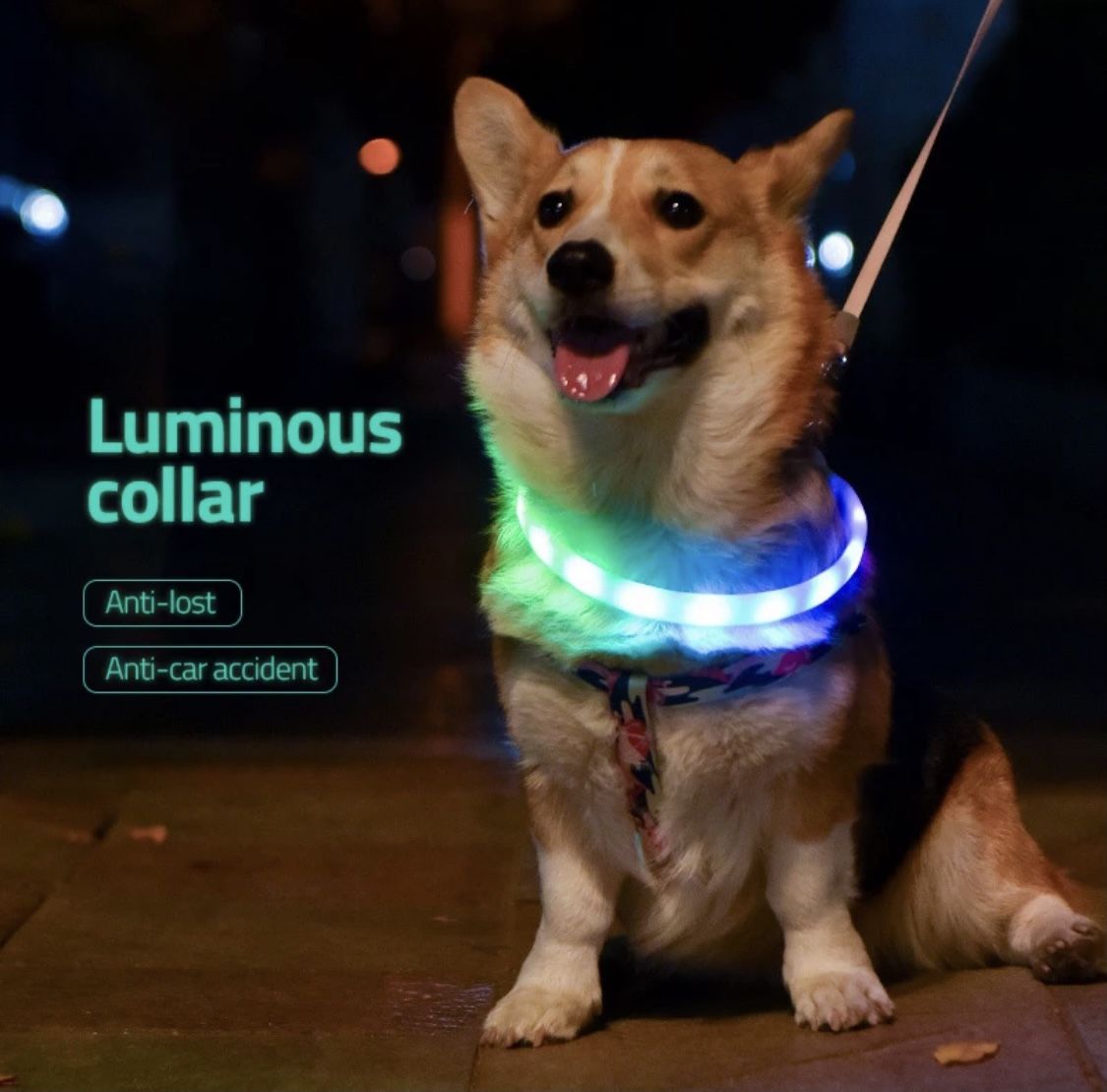 Pet RGB LED Collar