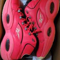 Reebok Question × Hot Ones Size 14