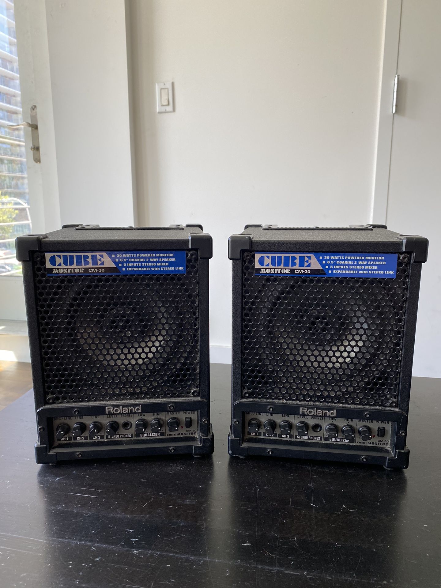 Roland CM-30 CUBE 30W 6.5 inch 2-way Portable Active Monitor