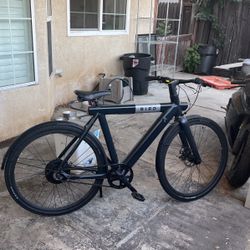 Bird E-bike
