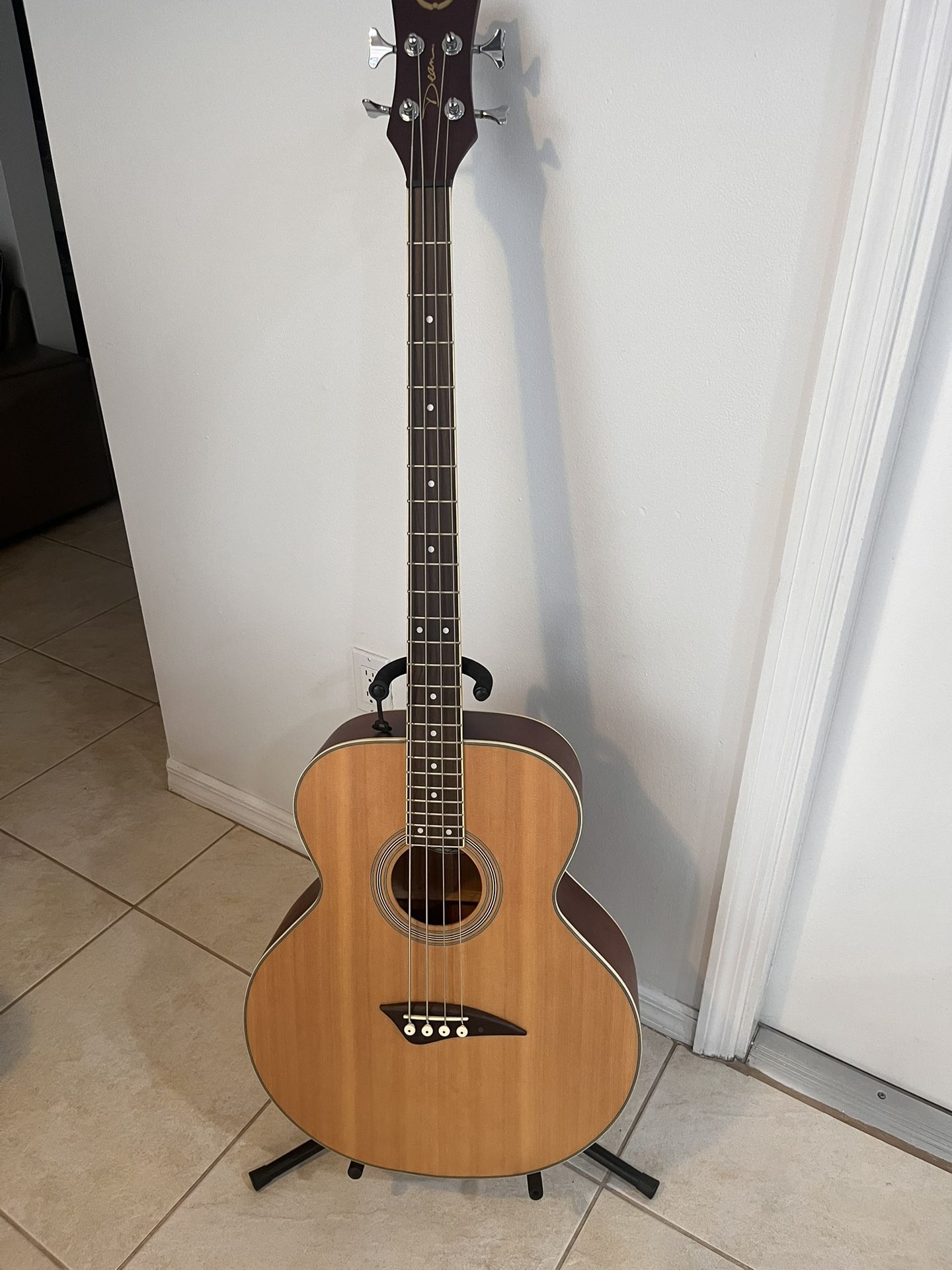 Electric Acoustic Bass