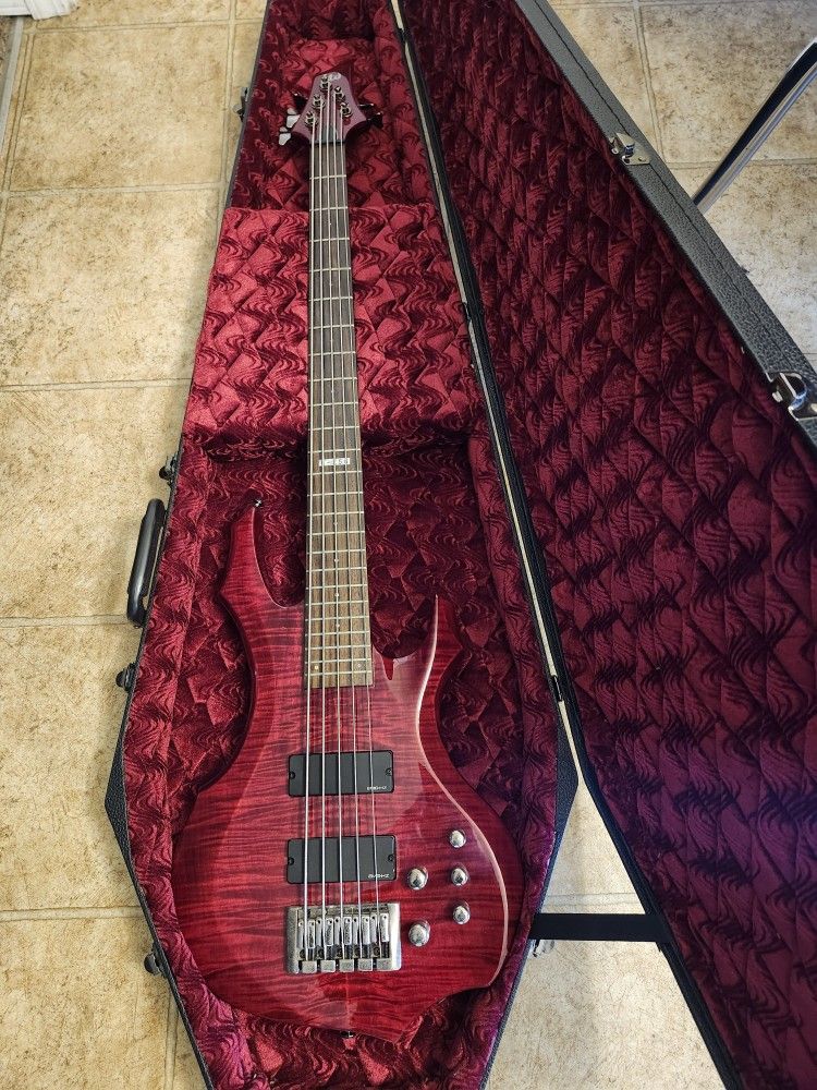ESP LTD F-255 5 String Bass w/ Coffin Case