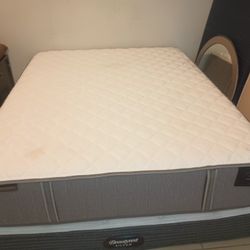 Stearns And Foster Queen Firm Mattress And Box Spring 