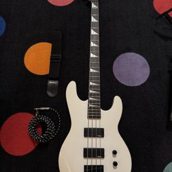 Bass Guitar Amp Speaker Stand Bag And Tuner 