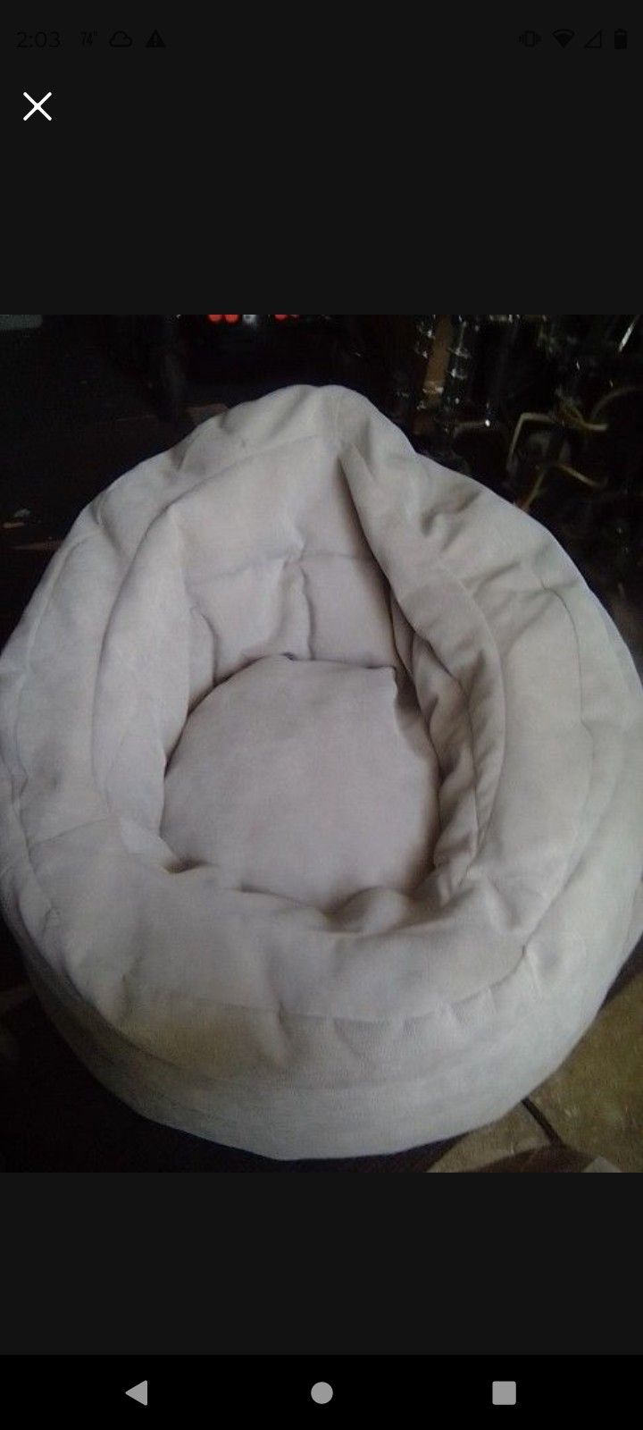DOG BED