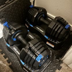 NordicTrack Adjustable Dumbbells