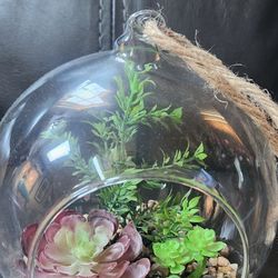 Succulent Apothecary Hanging Glass Decor New